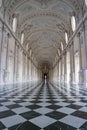 Galleria Grande, Reggia di Venaria Reale